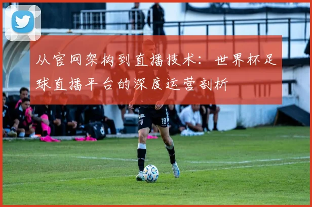 从官网架构到直播技术：世界杯足球直播平台的深度运营剖析