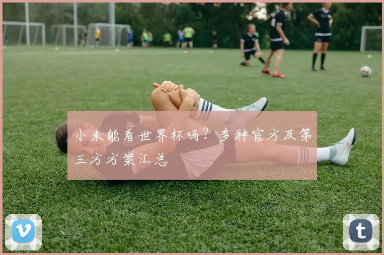 小米能看世界杯吗？多种官方及第三方方案汇总