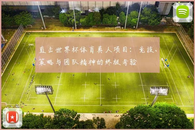 直击世界杯体育真人项目:竞技、策略与团队精神的终极考验