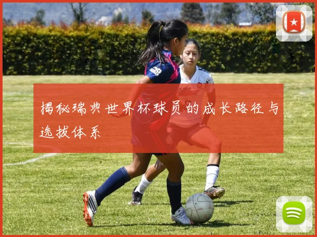 揭秘瑞典世界杯球员的成长路径与选拔体系