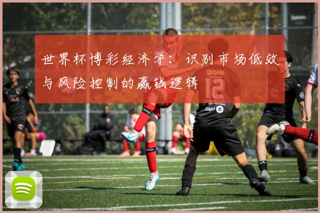 世界杯博彩经济学：识别市场低效与风险控制的赢钱逻辑