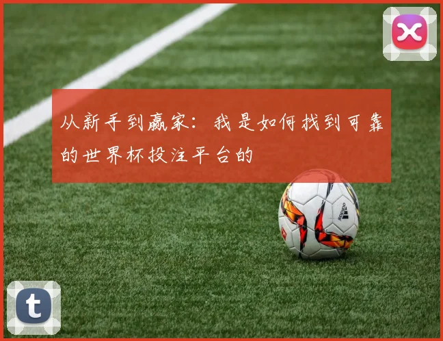 从新手到赢家：我是如何找到可靠的世界杯投注平台的