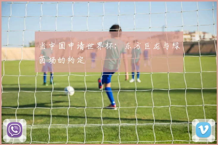 当中国申请世界杯：东方巨龙与绿茵场的约定